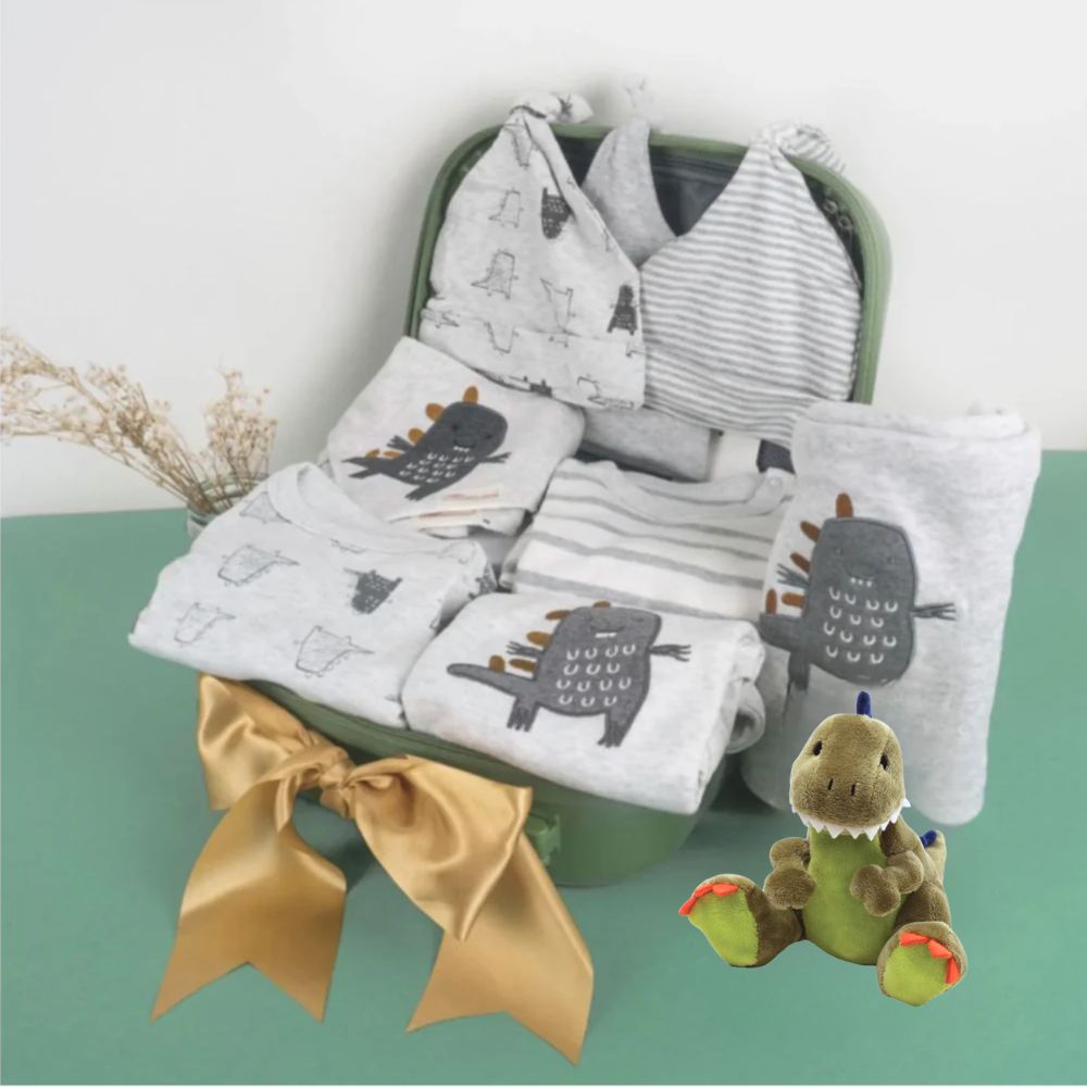 12 pc Mighty Dinosaur Boy Baby Gift Luggage Set 6-12 Months