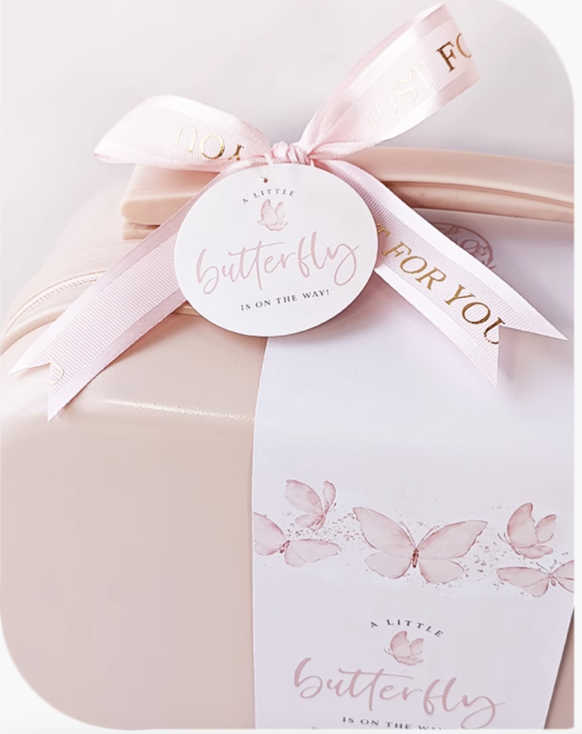 Precious Princess Luggage Baby Girl Gift Set 3-6 Months