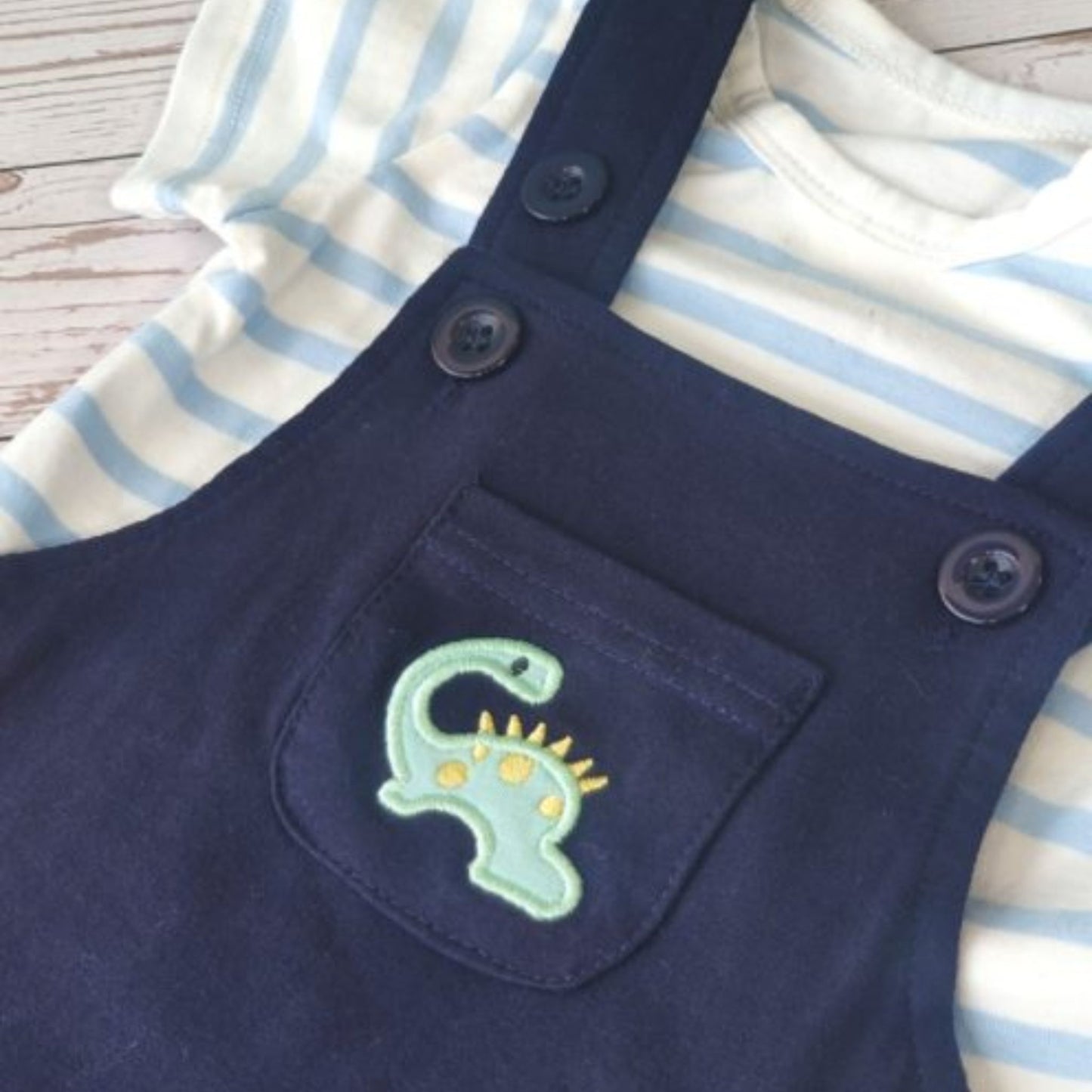 12 pc Little Dinosaur Baby Boy Birthday Gift Set Luggage 12-18 months