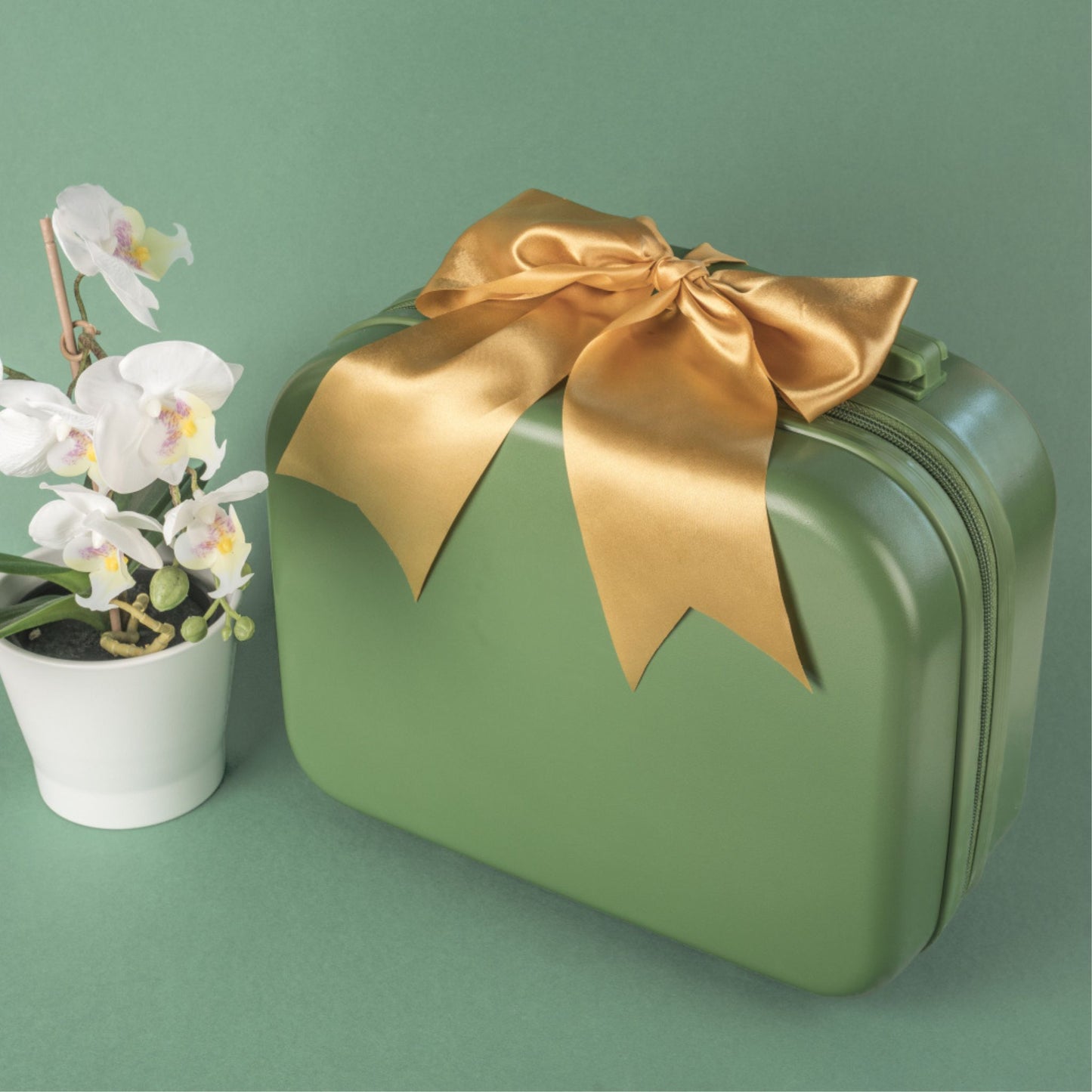 Little Dino Explorer Baby Boy Gift Set 3-6 Months