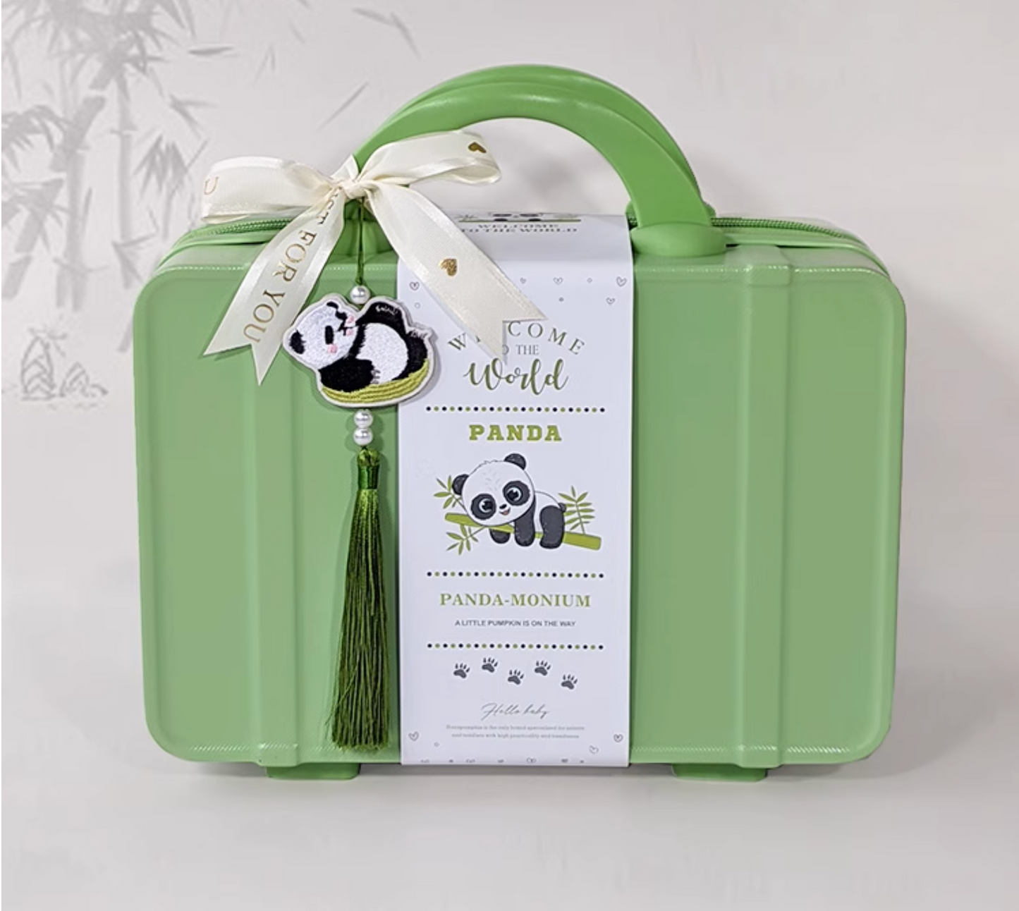 Little Panda Explorer Baby Boy Gift Luggage Set 3-6 Months