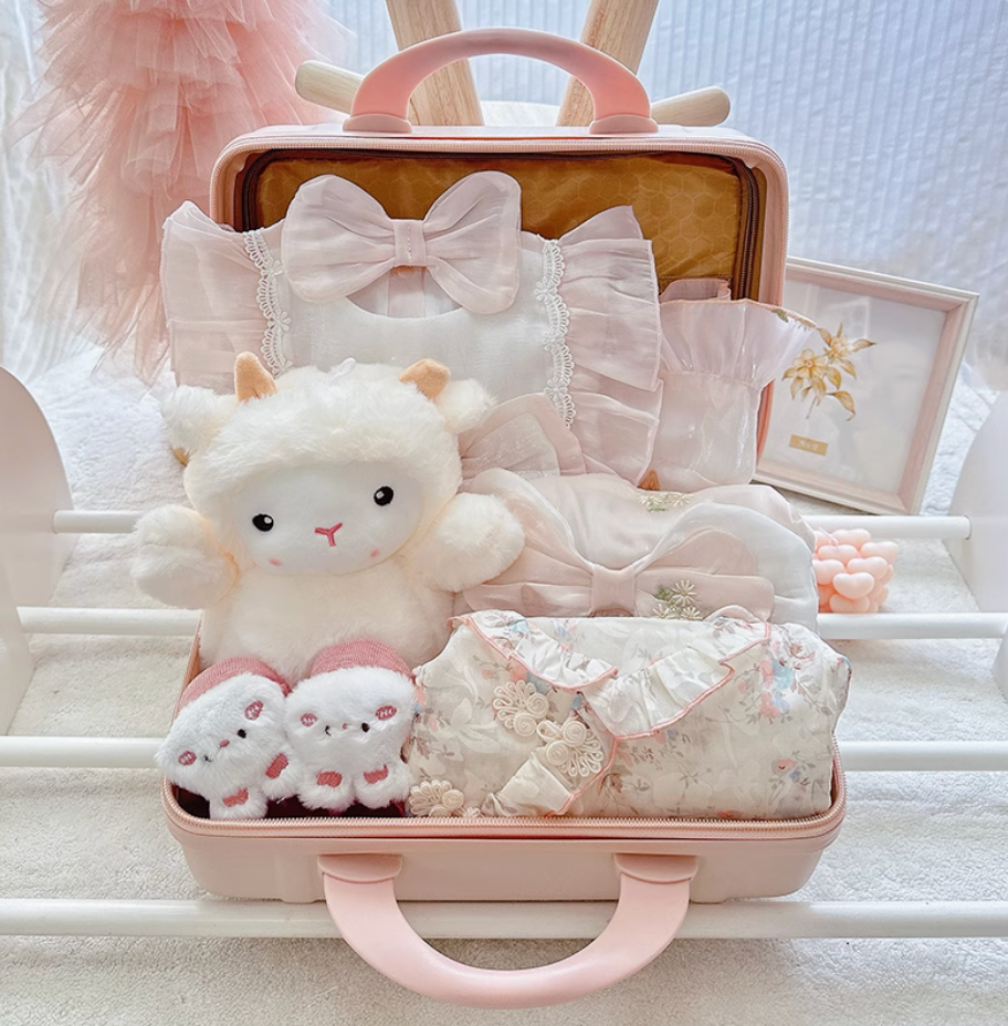 Charming Baby Girl Luggage Gift Set 3-6 Months