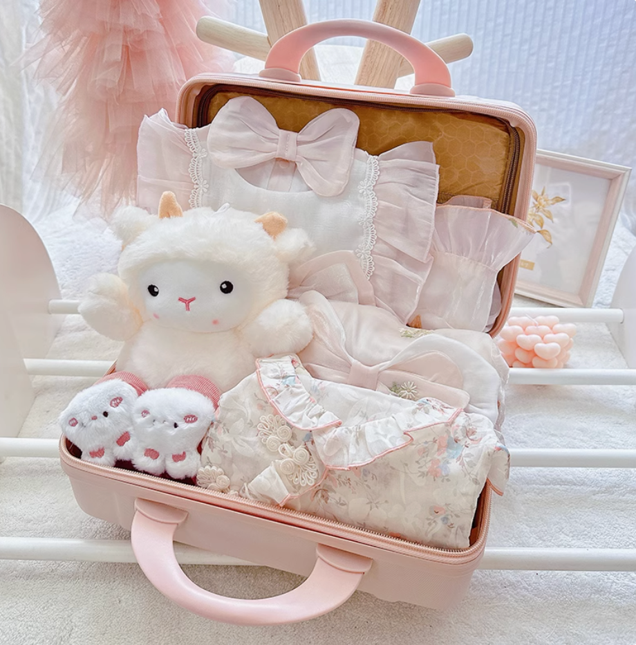 Charming Baby Girl Luggage Gift Set 3-6 Months