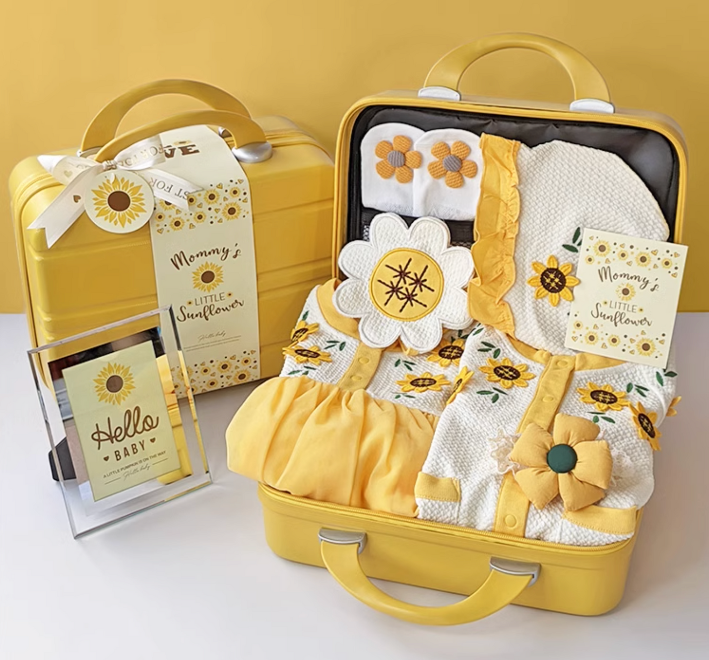 Sunshine Snuggles Baby Girl Gift Set 3-6 Months