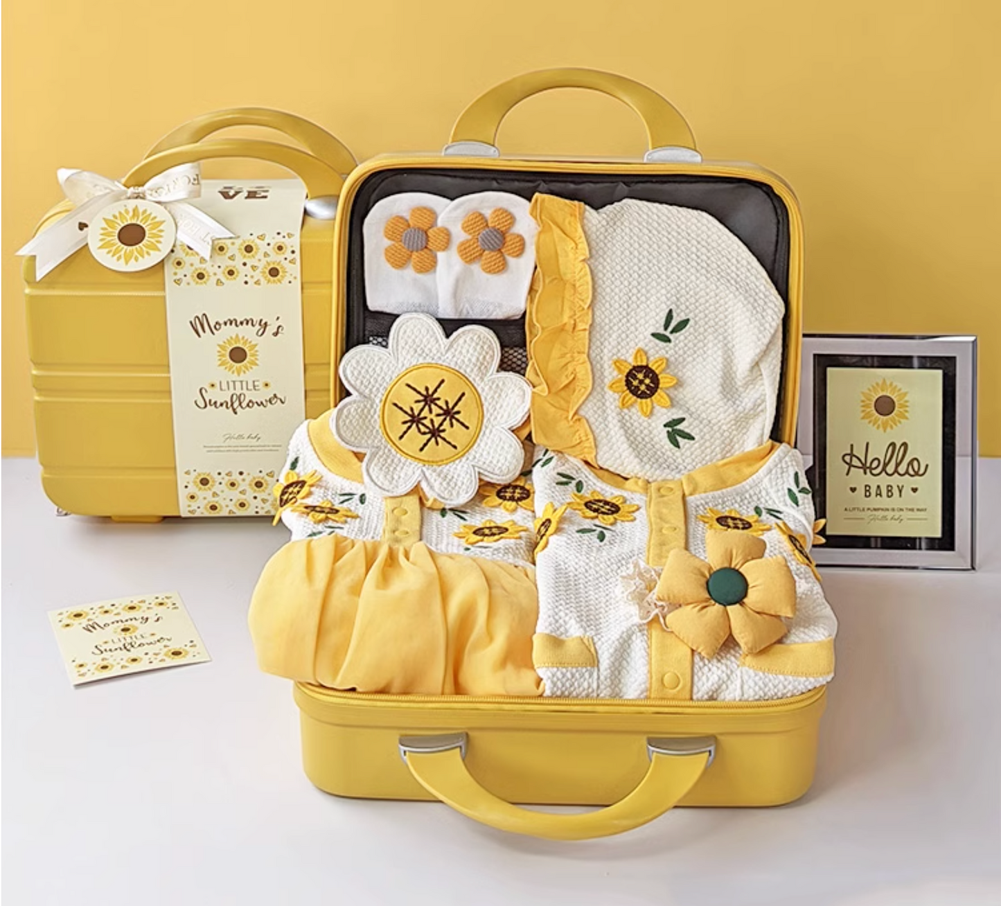 Sunshine Snuggles Baby Girl Gift Set 3-6 Months
