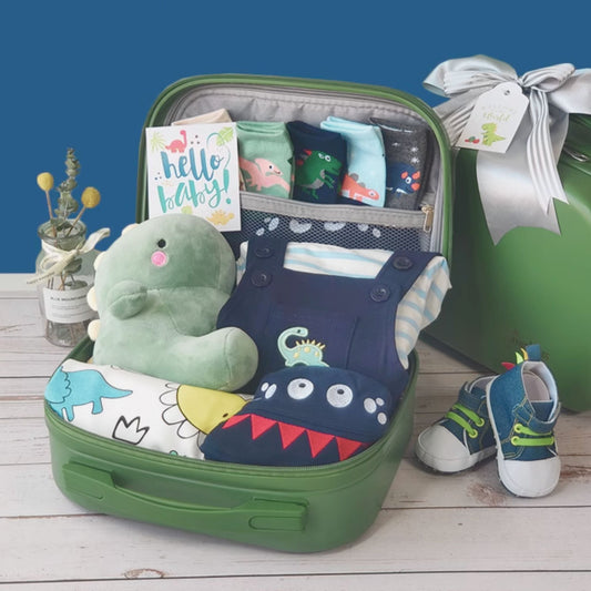 12 pc Little Dinosaur Baby Boy Birthday Gift Set Luggage 12-18 months