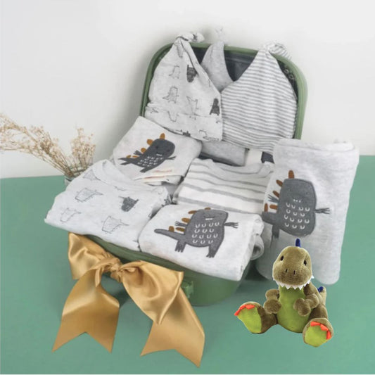 12 pc Mighty Dinosaur Boy Baby Gift Luggage Set 6-12 Months