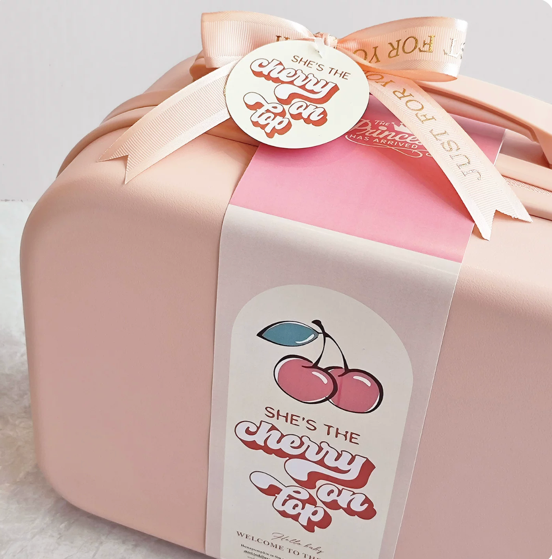 10 Pc Cherry on Top Baby Gift Luggage Set - Best Baby Gift Singapore (3-6 Months)