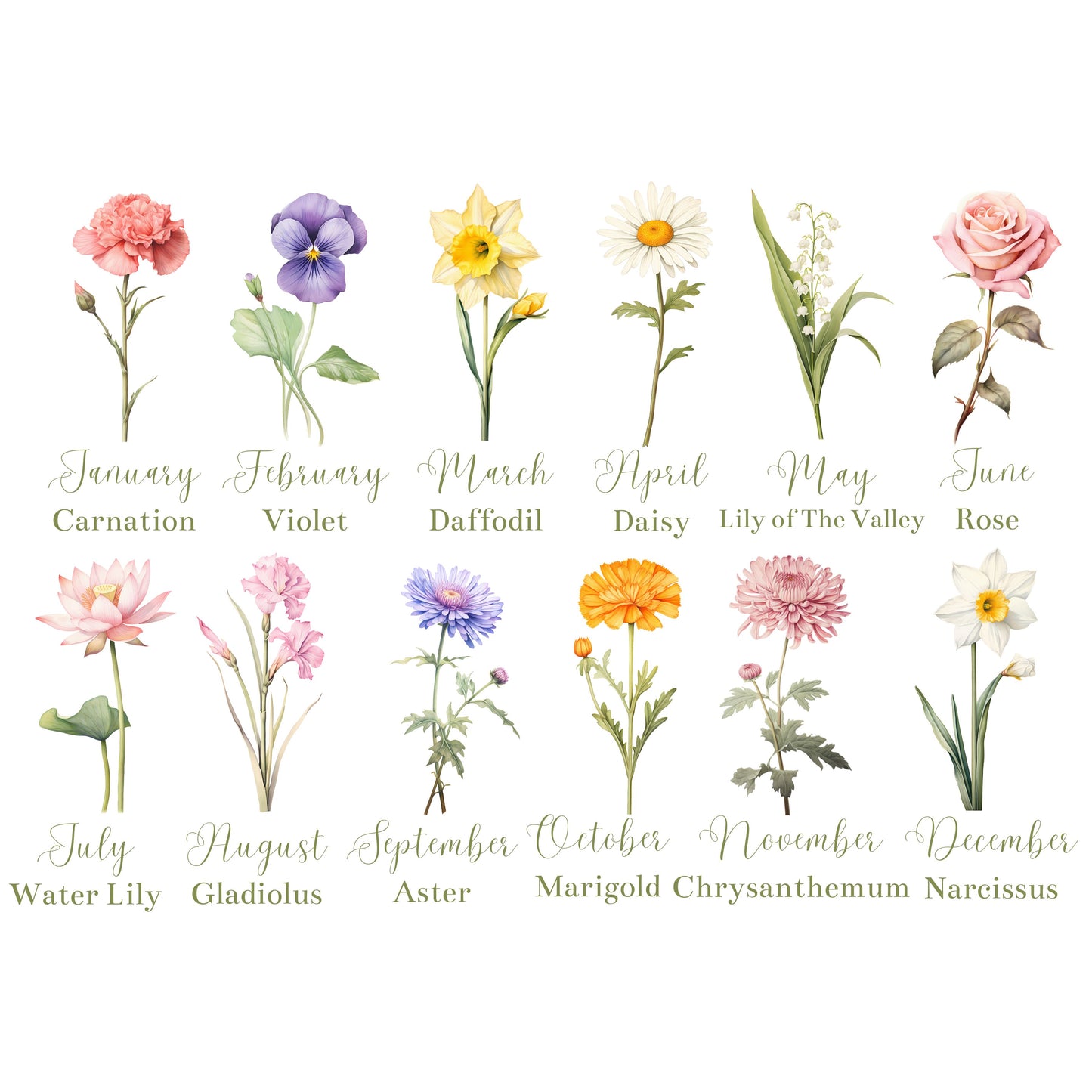 A3 Custom Birth Flower Poster - Gift for Grandma or Mom