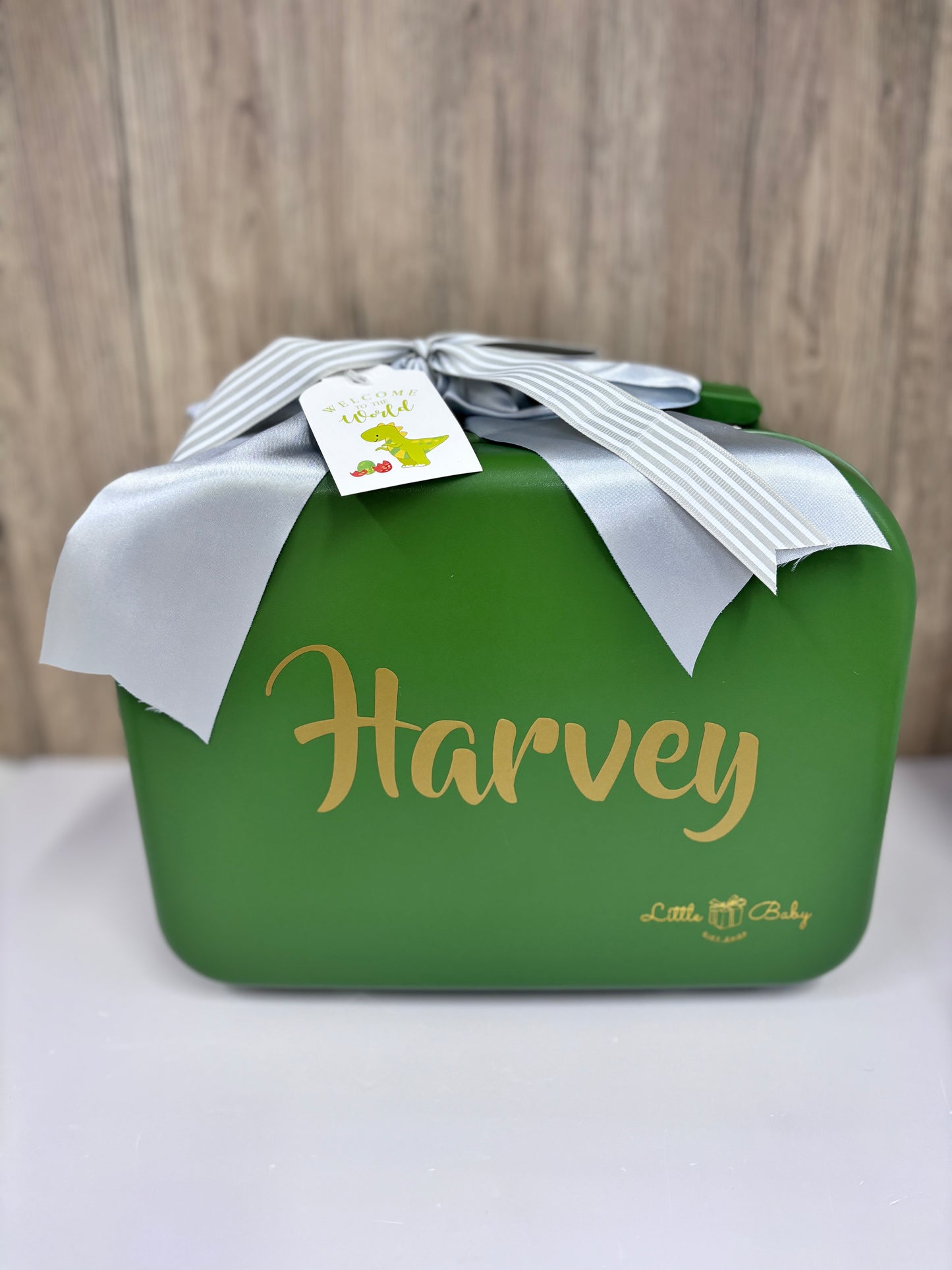 10pc Gorgeous Green Baby Girl Luggage - Baby Gift Singapore (3-6 Months)