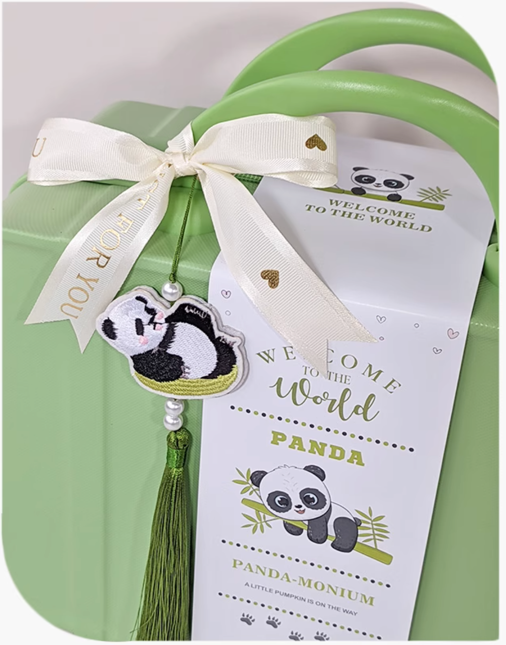 Little Panda Explorer Baby Boy Gift Luggage Set 3-6 Months