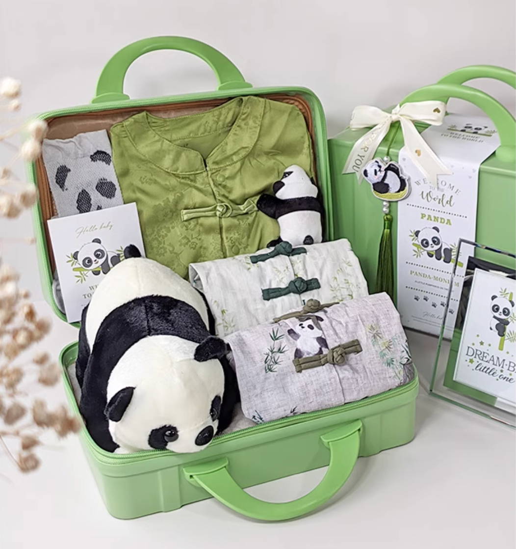 Little Panda Explorer Baby Boy Gift Luggage Set 3-6 Months