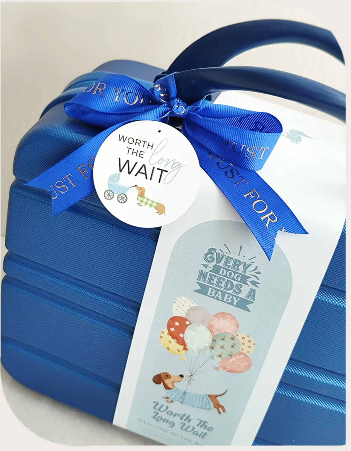 Little Pup Baby Gift Luggage Set 6-12 months