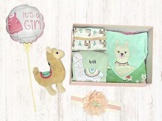 Customized Sweet Llama Baby Gift Set 6-12 Months