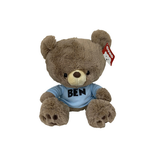 Personalized Gund Boy Kai Teddy Bear (12")