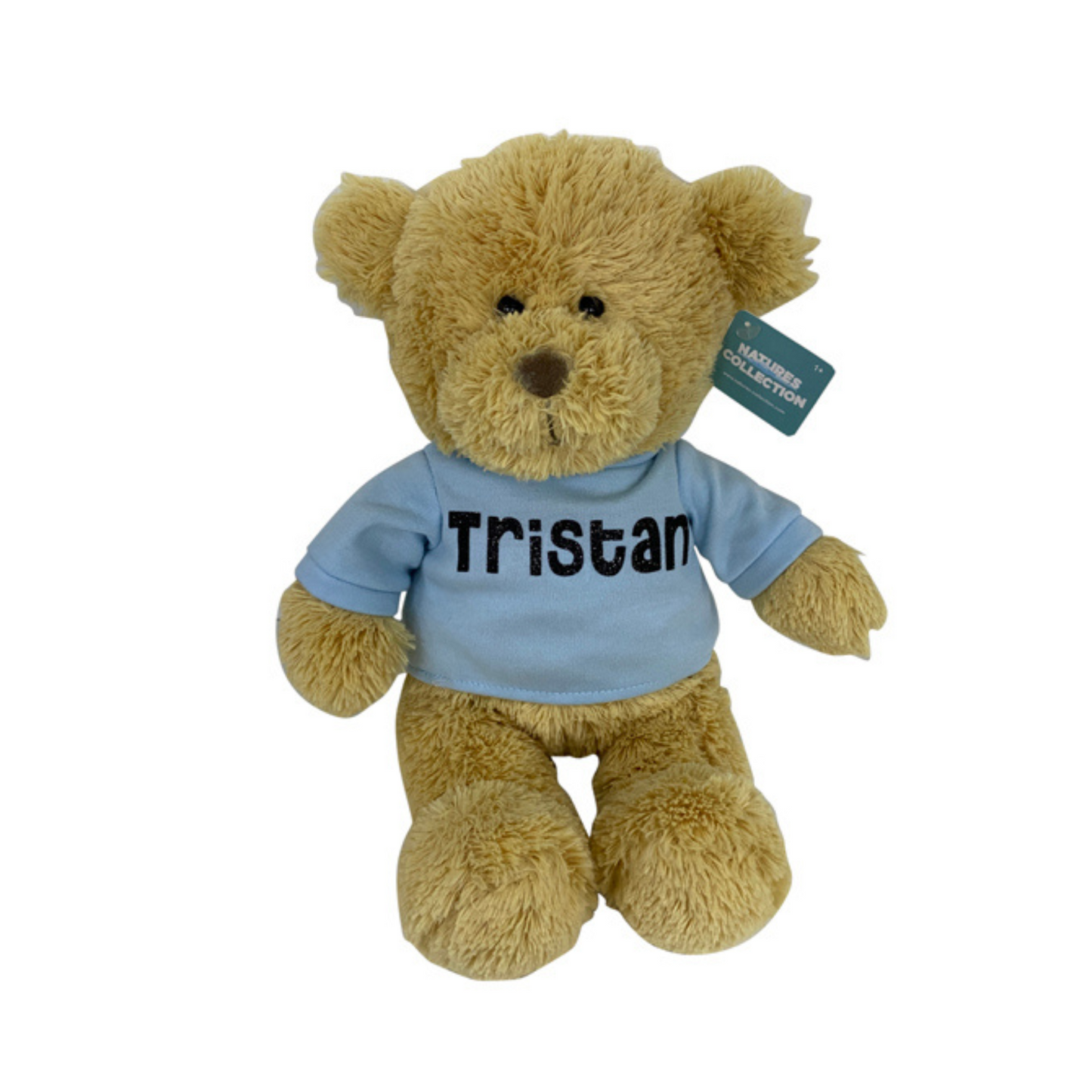Customized Teddy Bear Plush - 12.5 inches