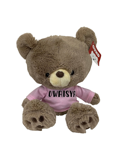 Personalized Gund Boy Kai Teddy Bear (12")