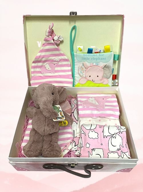 12 pc Sweet Little Elephant Baby Gift Set 3-6 Months