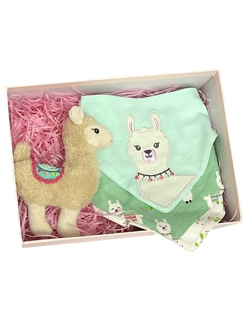 Customized Sweet Llama Baby Gift Set 6-12 Months