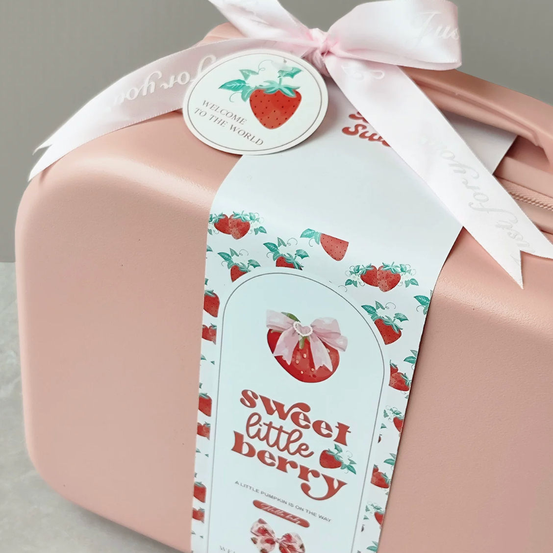 10 Pc Sweet Strawberry Baby Luggage - Best Baby Gift Singapore (6-12 Months)